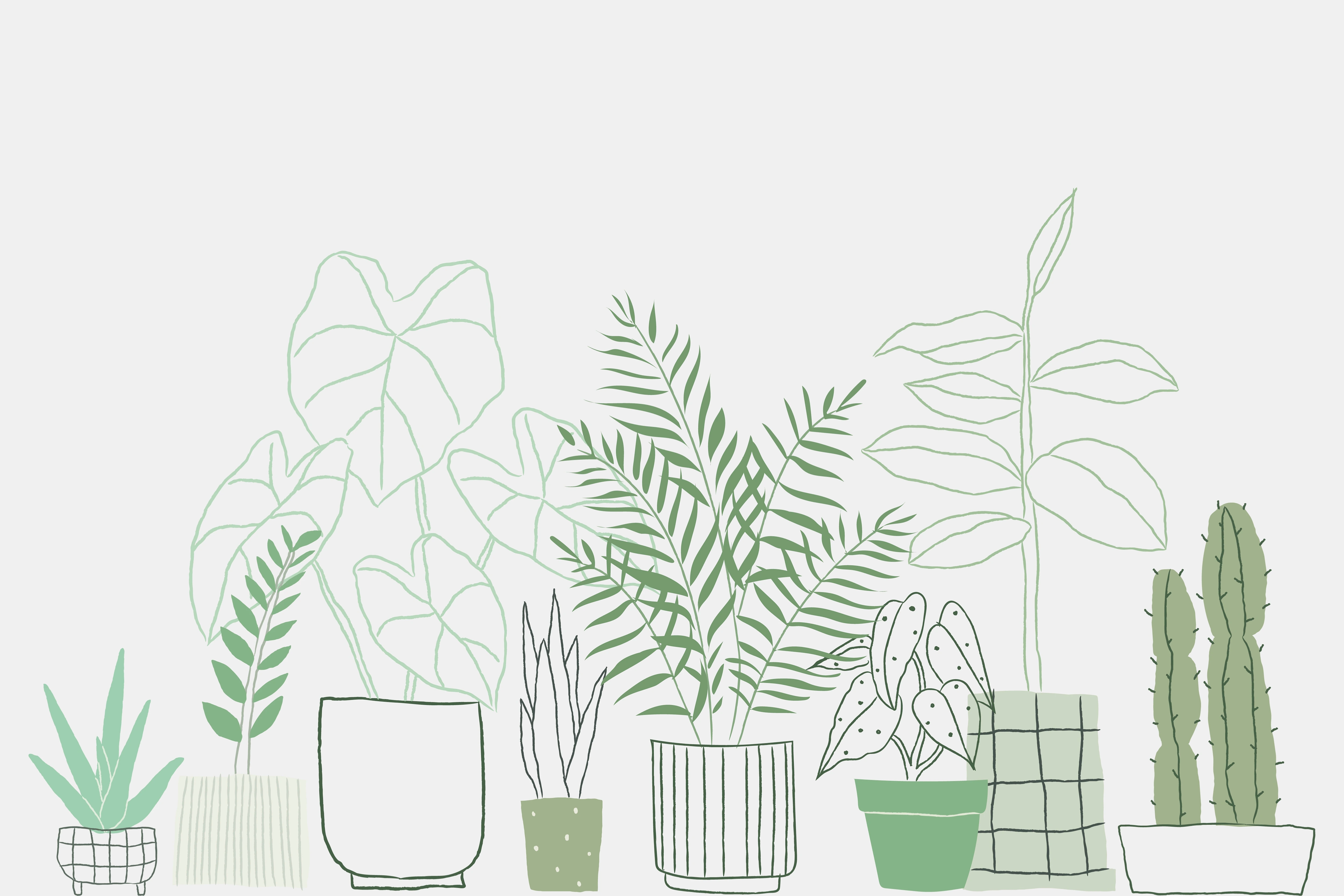 Hand-cast concrete planters and succulents by Gosh Manor Studio, Anaheim California