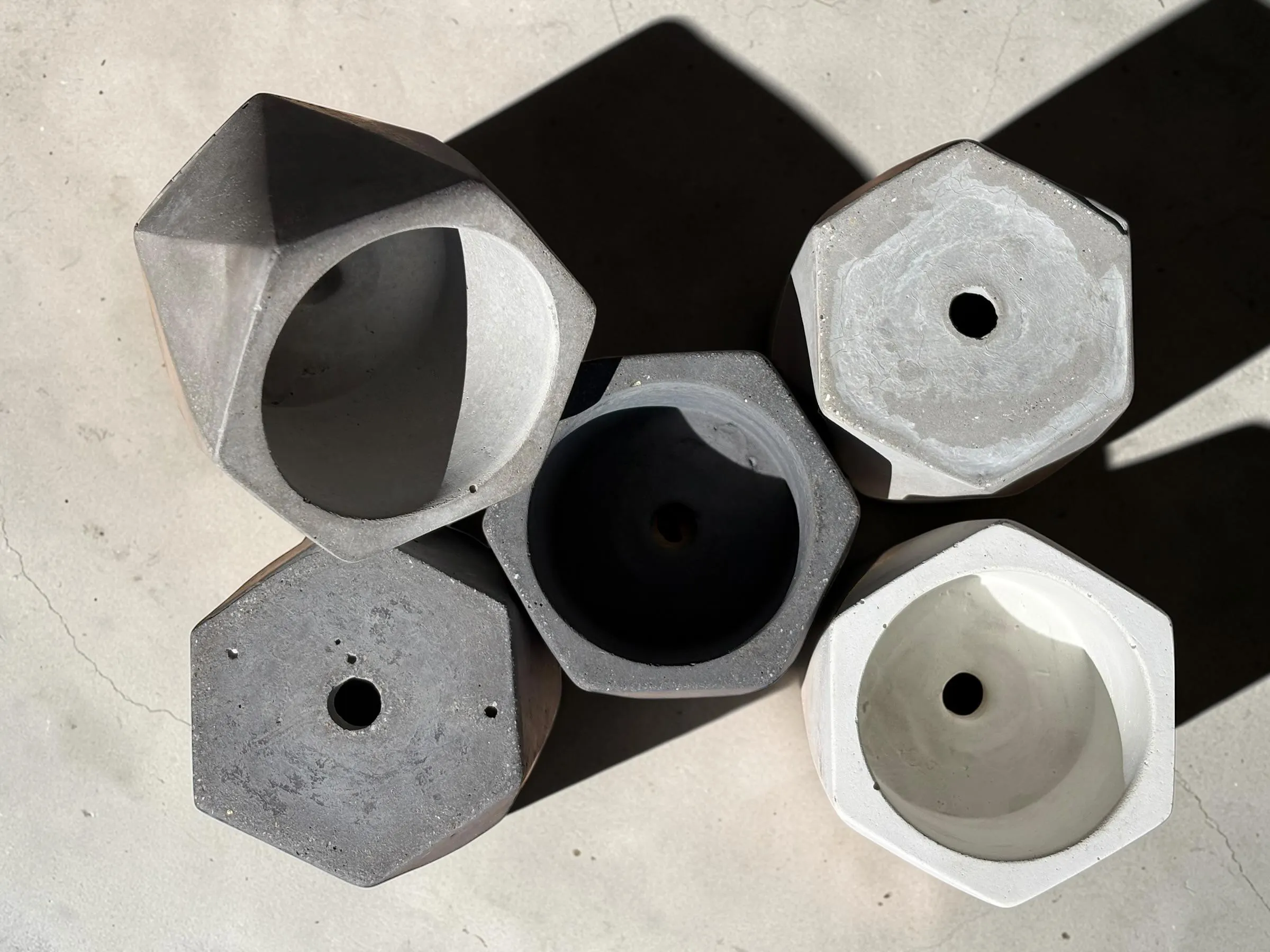 Live Crassula Rogersii succulent cuttings, beginner friendly rooted succulent, windowsill plant California